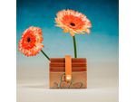 tarjetero-broche-con-compartimiento-botanico-mariposas_campaña
