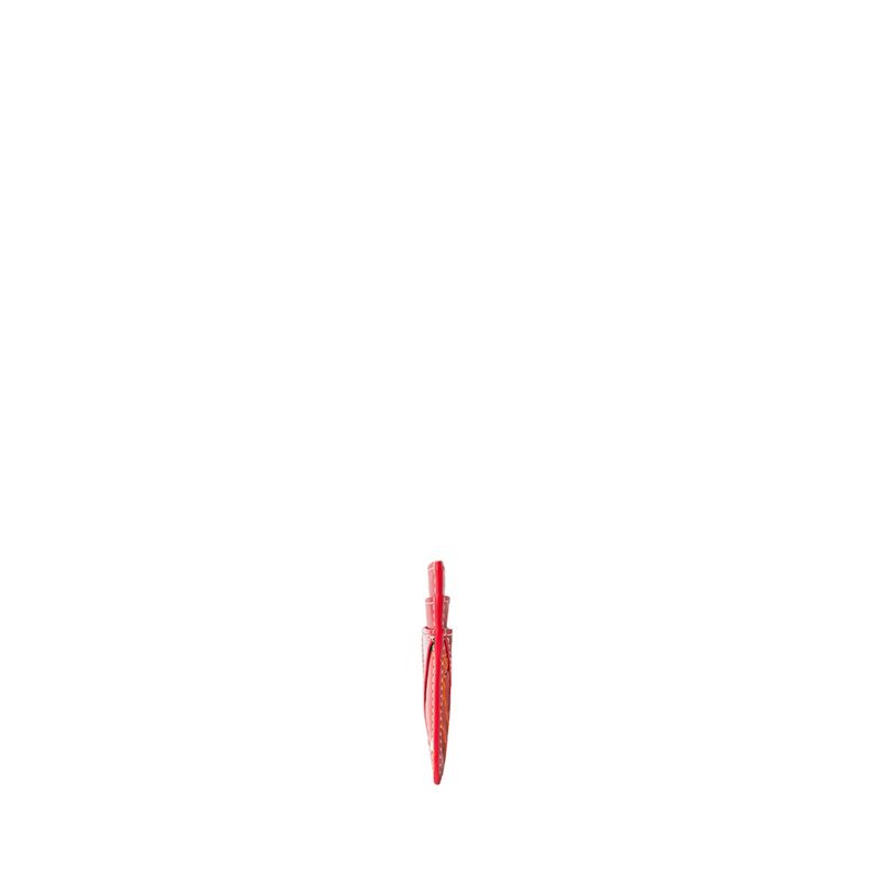 tarjetero-plano-rojo-mosaico_3.jpg