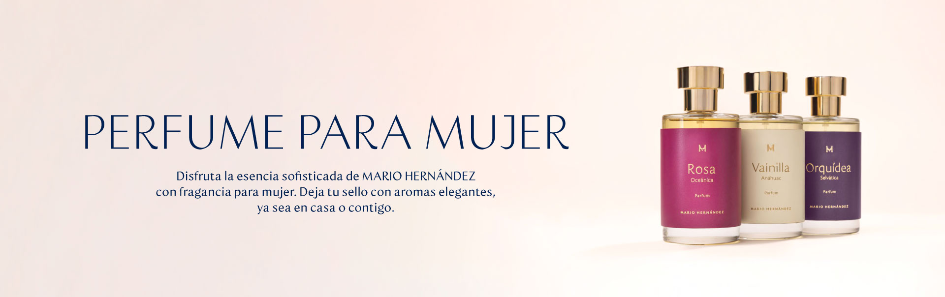 Imagen de fondo